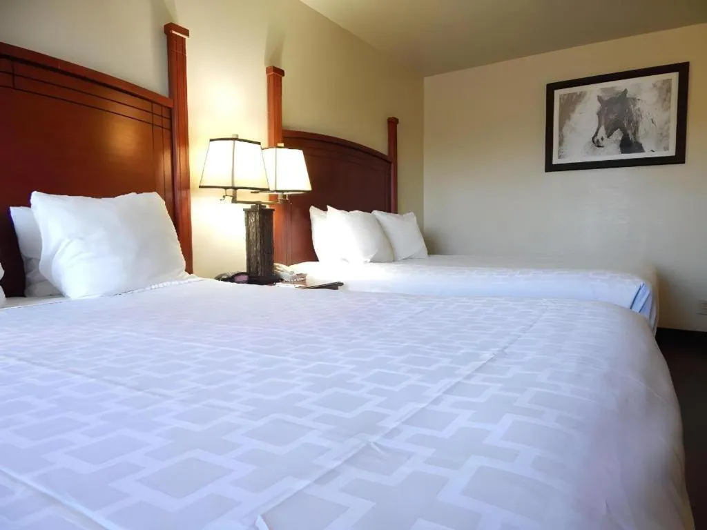 Bed in SureStay Plus by Best Western Lawton