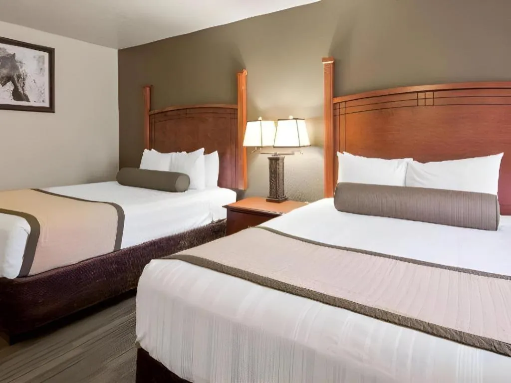 Bed in SureStay Plus by Best Western Lawton