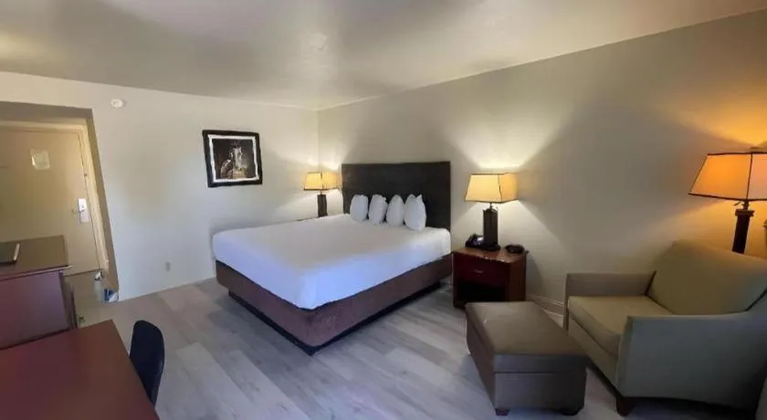 Bed in SureStay Plus by Best Western Lawton