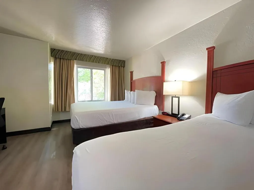 Bed in SureStay Plus by Best Western Lawton