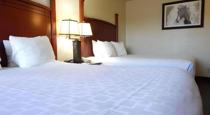 Bed in SureStay Plus by Best Western Lawton
