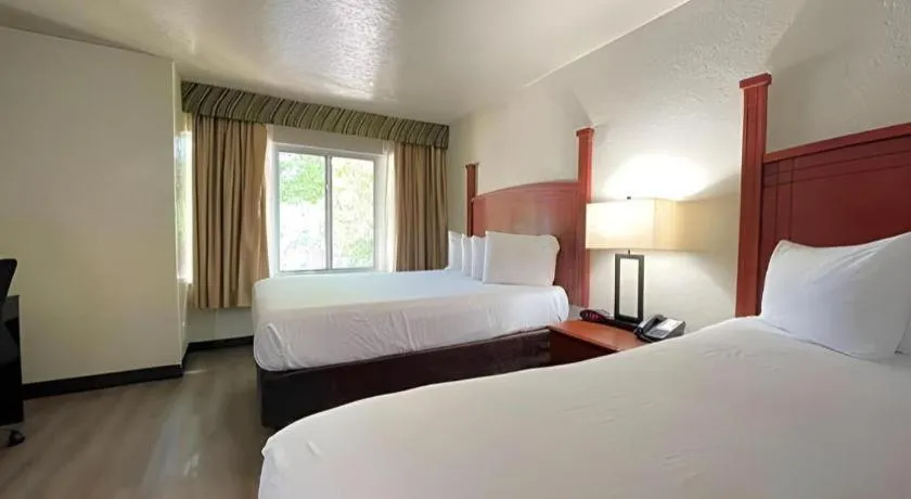 Bed in SureStay Plus by Best Western Lawton