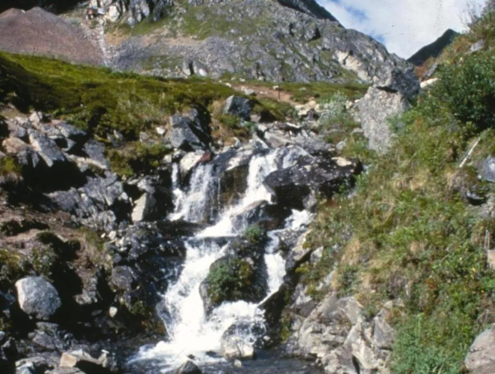 Best Western Lake Lucille Inn