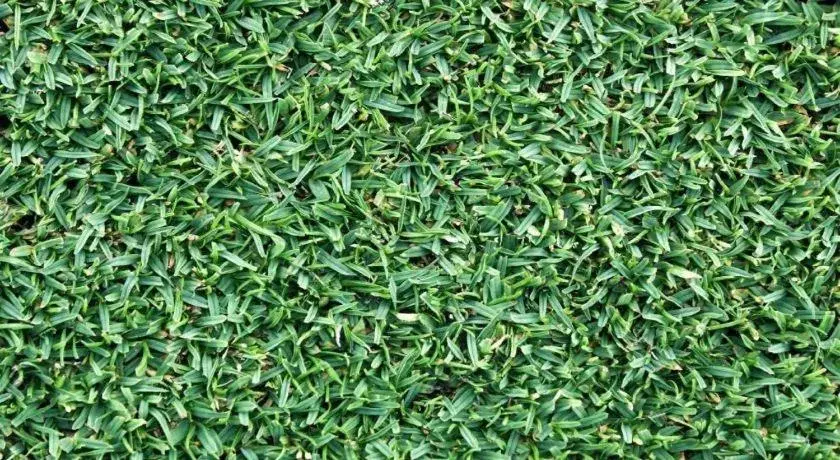 Maharajah Hotel Maharajah Hotel