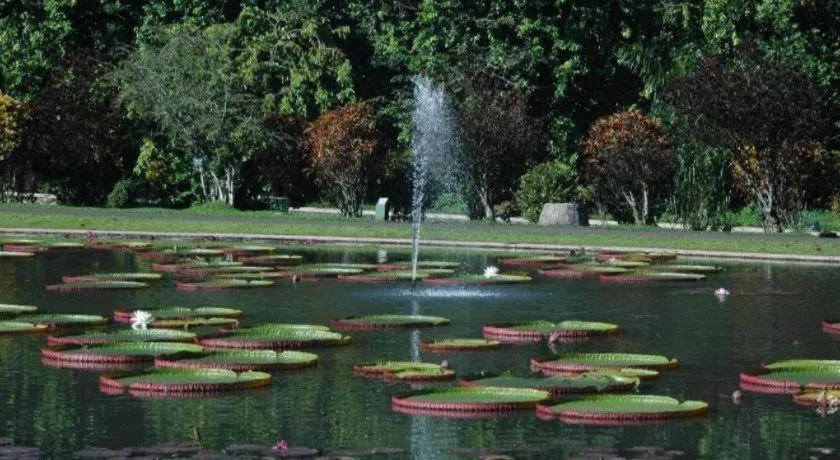 Amaris Hotel Pakuan Bogor