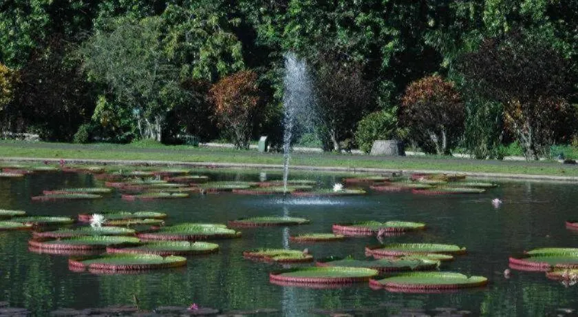 Amaris Hotel Pakuan Bogor