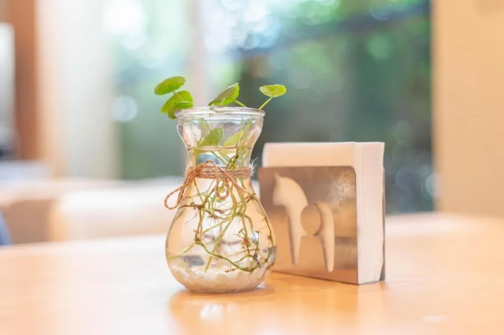 Hanting Hotel Dalian Economic and Technological Zone Wanda Plaza