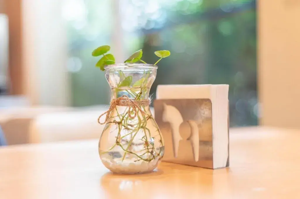 Hanting Hotel Dalian Economic and Technological Zone Wanda Plaza Hanting Hotel Dalian Economic and Technological Zone Wanda Plaza