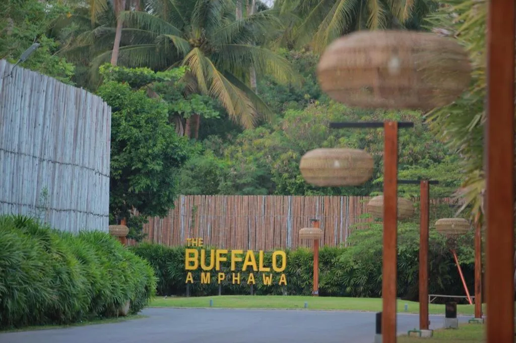 The Buffalo Amphawa