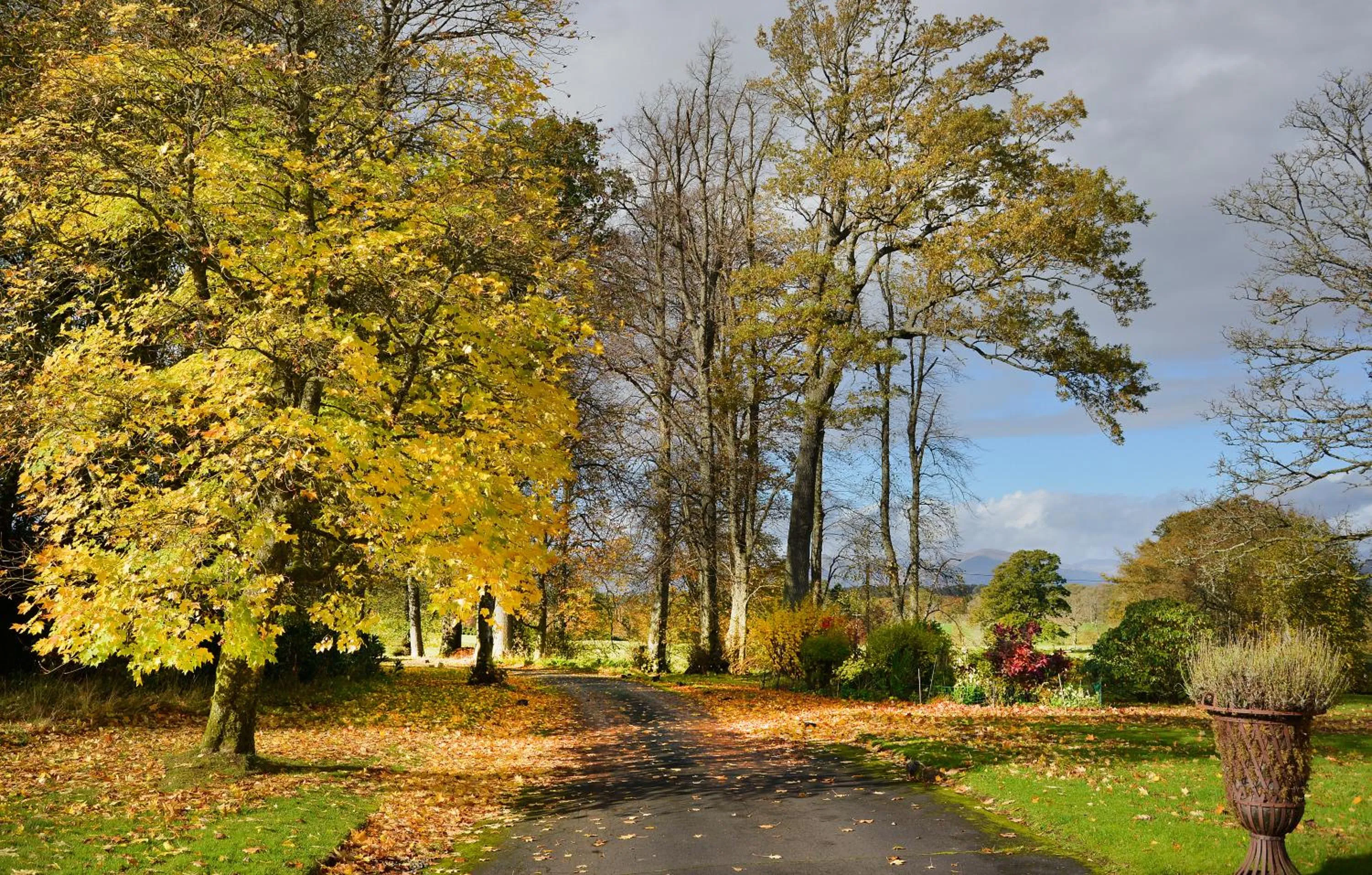 Garden in Loch Lomond Finnich Cottages