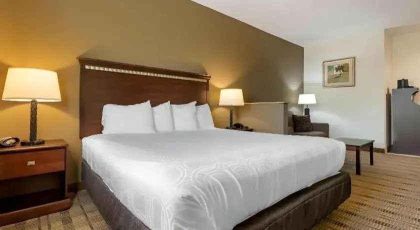 Bed in Best Western La Grange Inn & Suites Bed in Best Western La Grange Inn & Suites