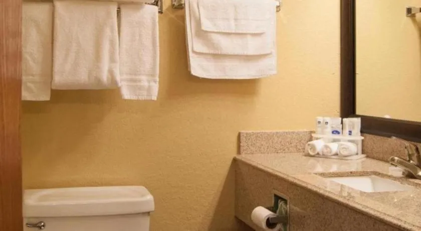 Best Western Locust Grove Inn & Suites