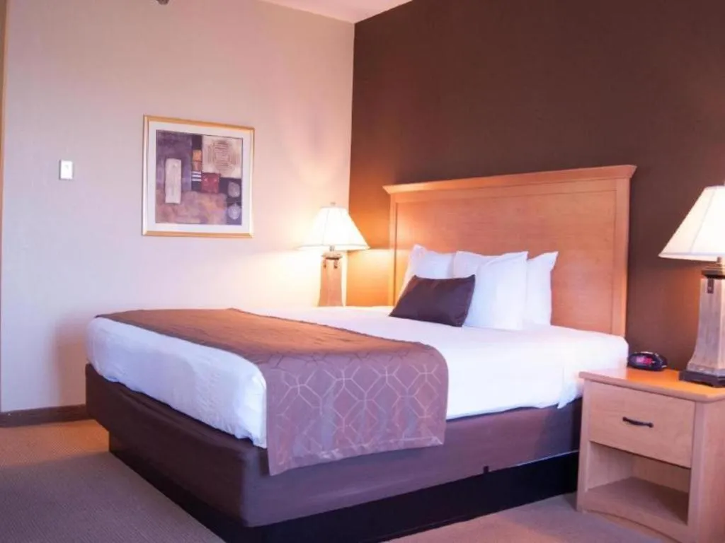 Best Western Locust Grove Inn & Suites