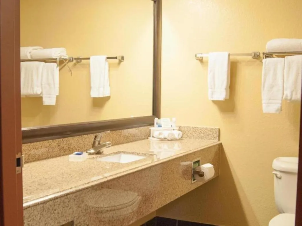 Best Western Locust Grove Inn & Suites