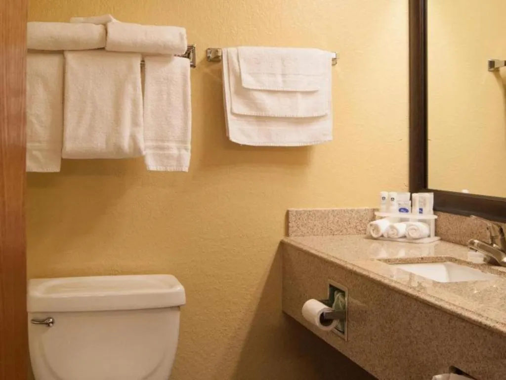 Best Western Locust Grove Inn & Suites