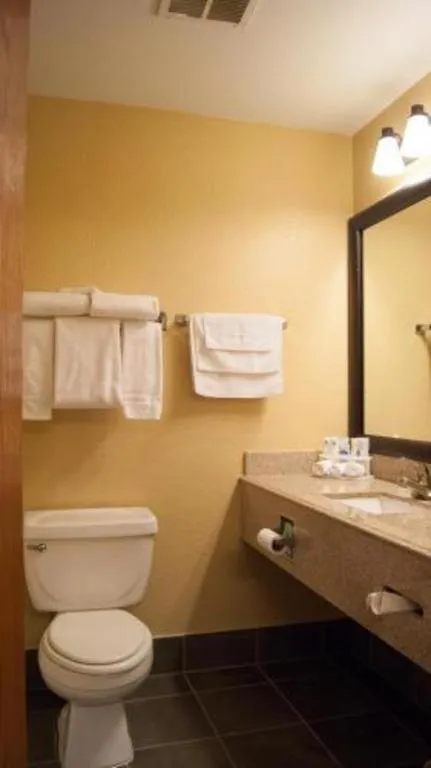 Best Western Locust Grove Inn & Suites