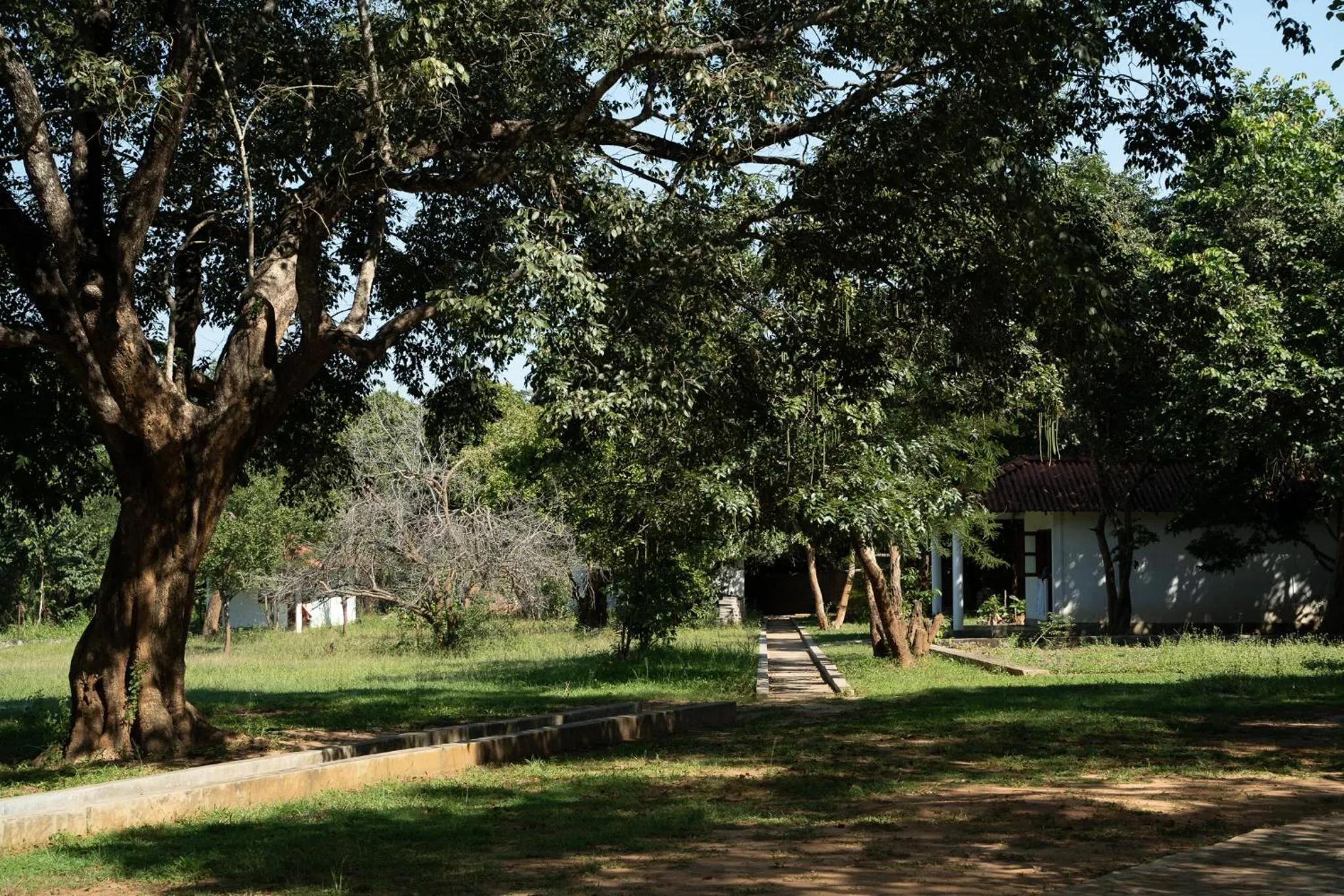 Garden in Pothana Village