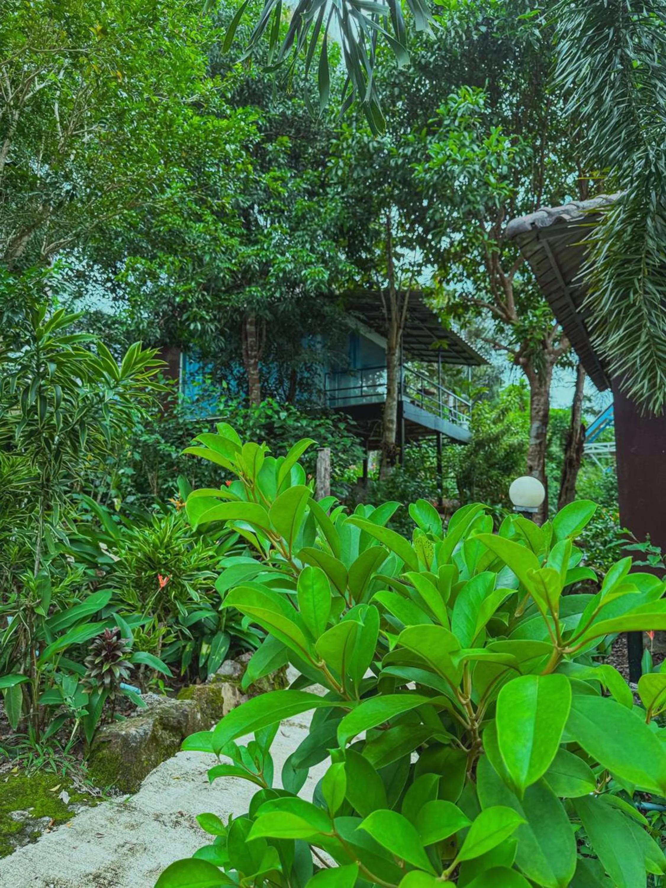 View (from property/room) in Ocean Lounge Bungalow