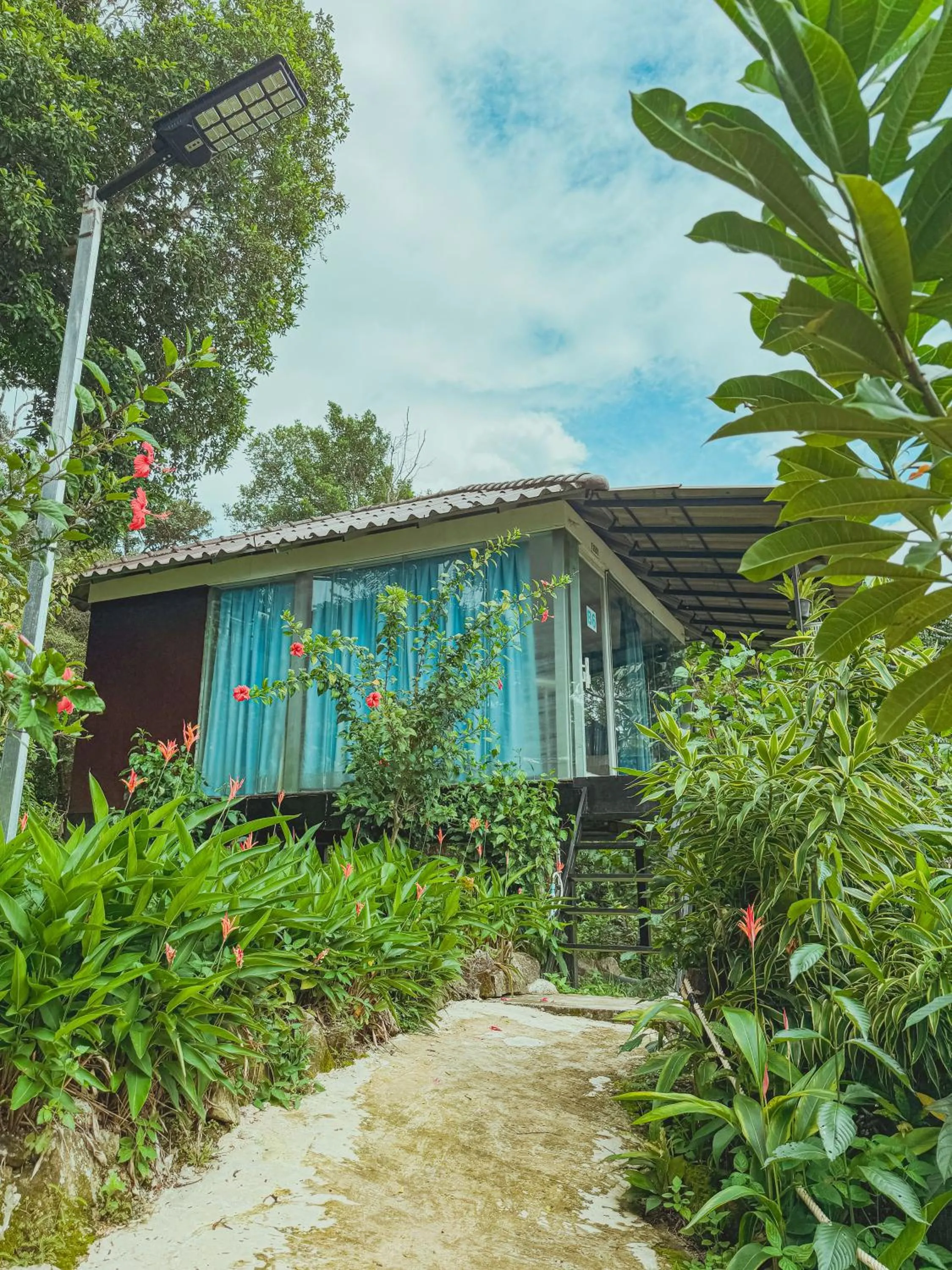Photo of the whole room in Ocean Lounge Bungalow