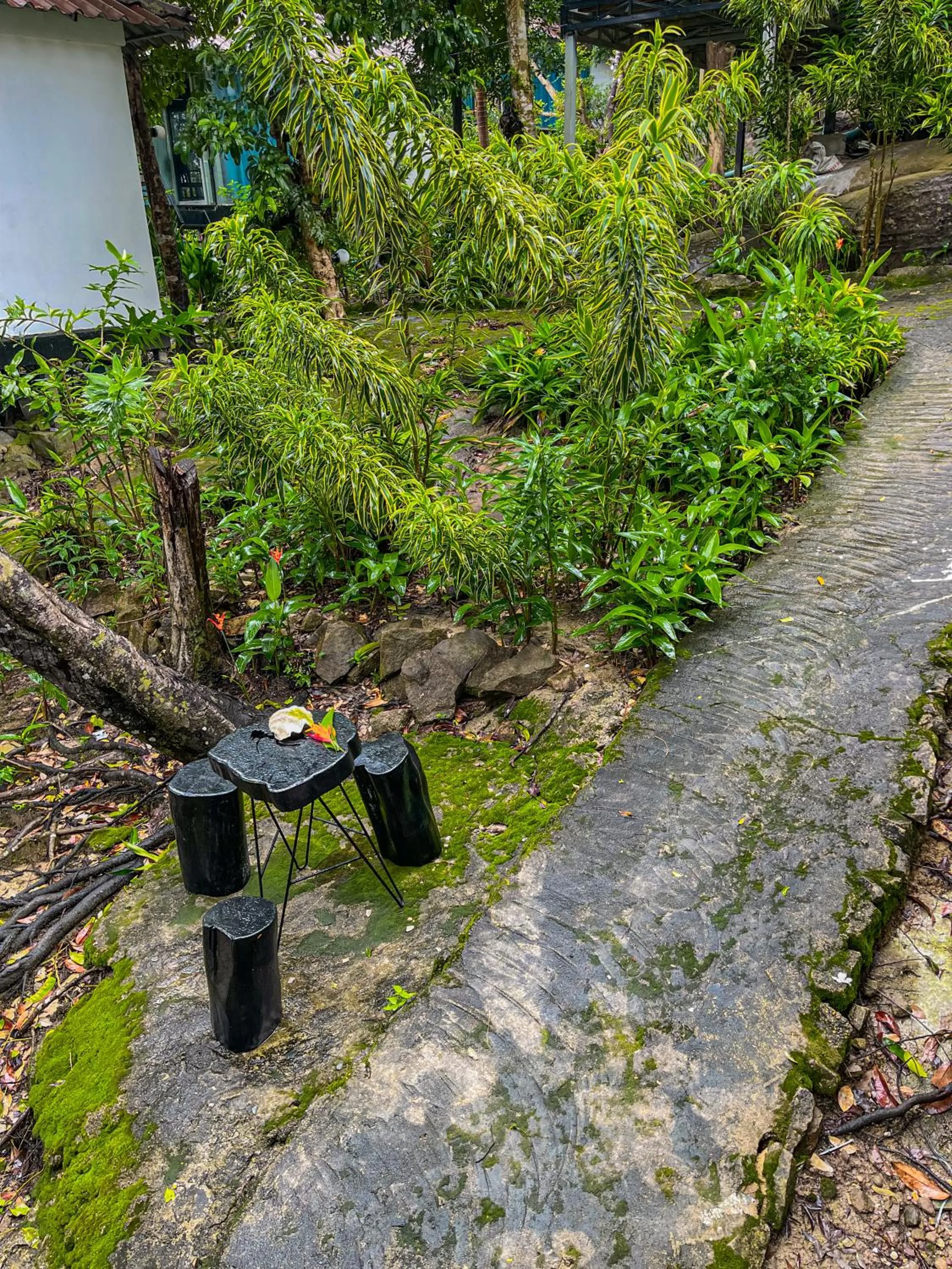 Natural landscape in Ocean Lounge Bungalow