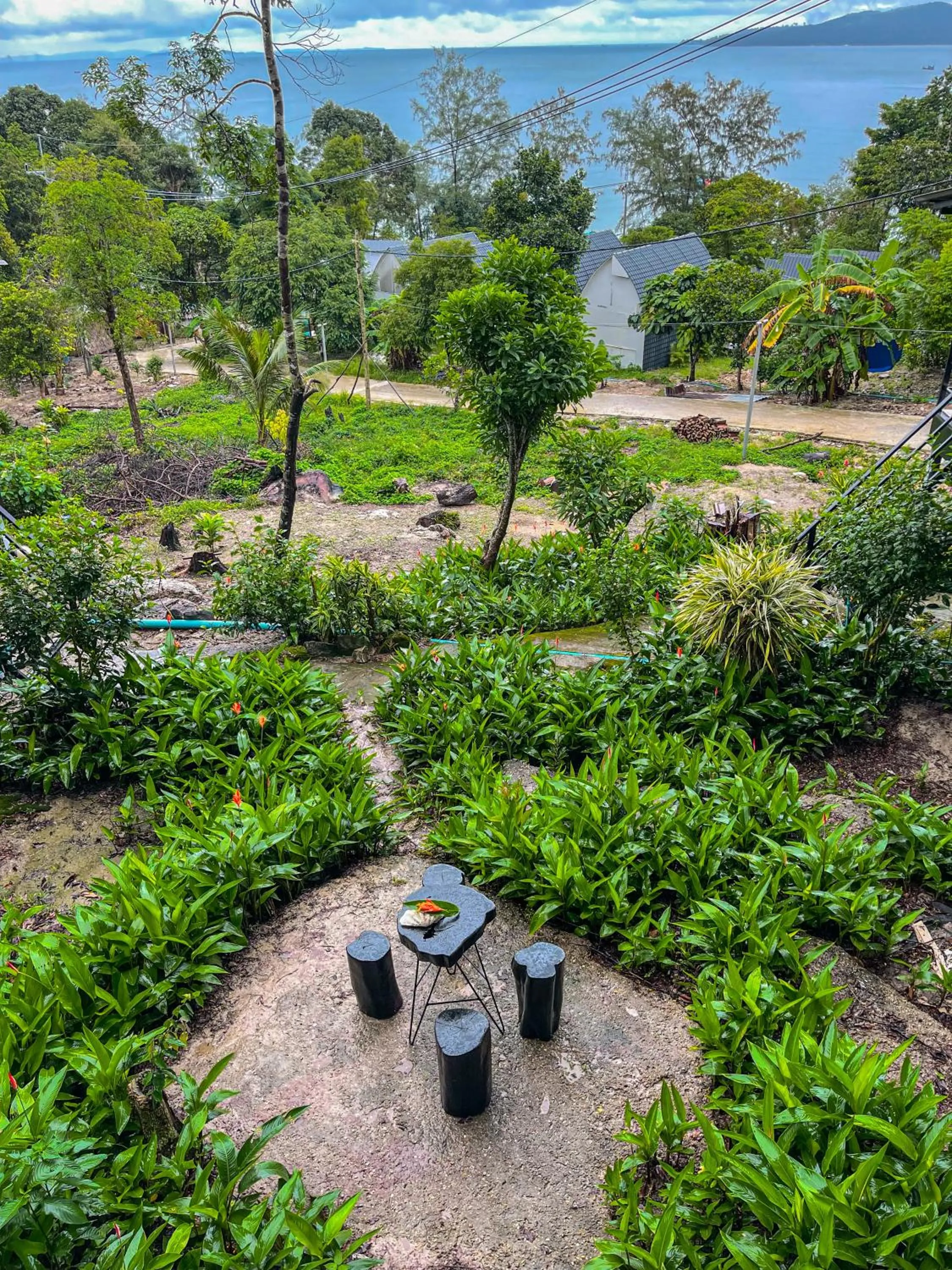Natural landscape in Ocean Lounge Bungalow