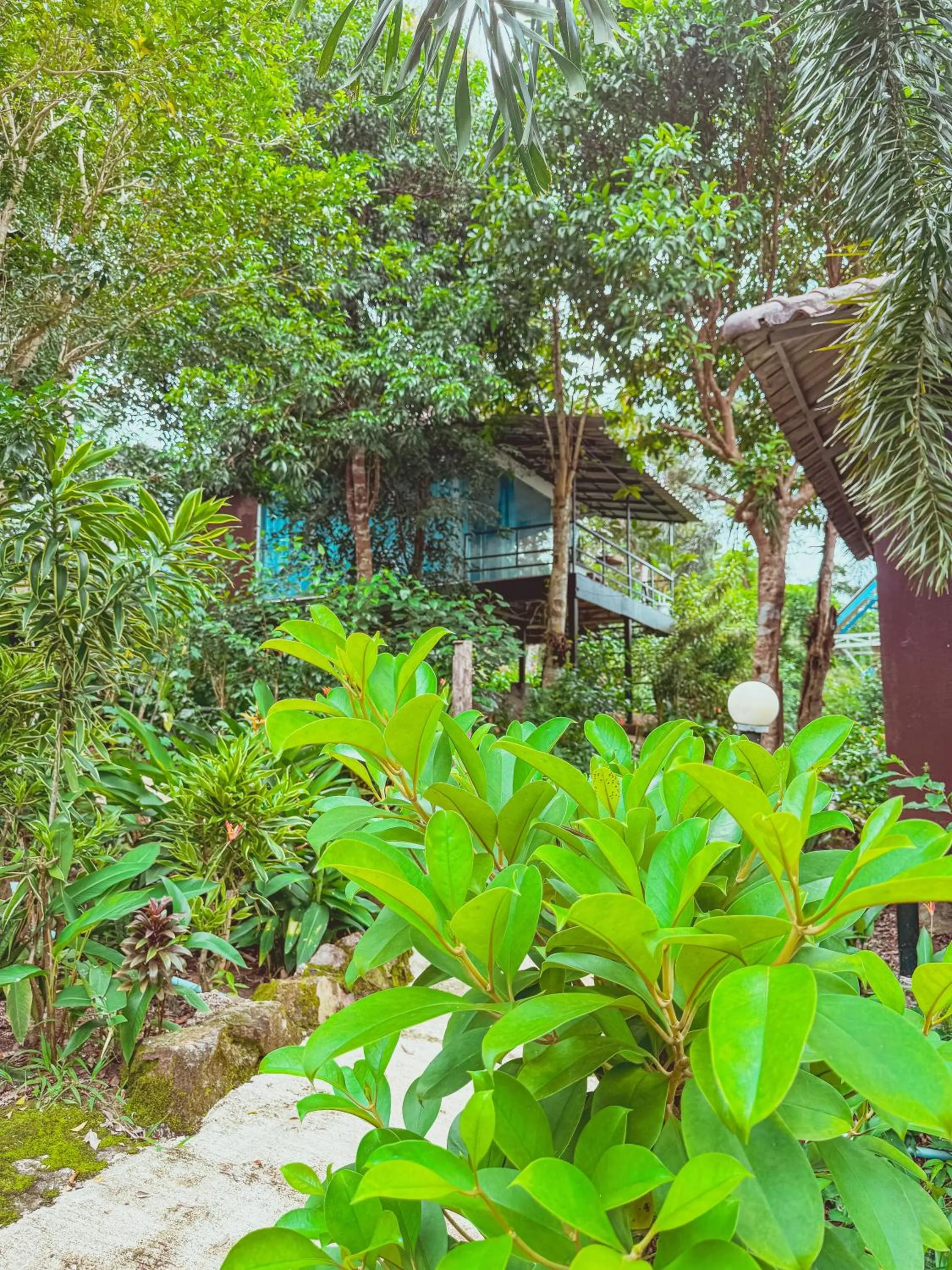 View (from property/room) in Ocean Lounge Bungalow