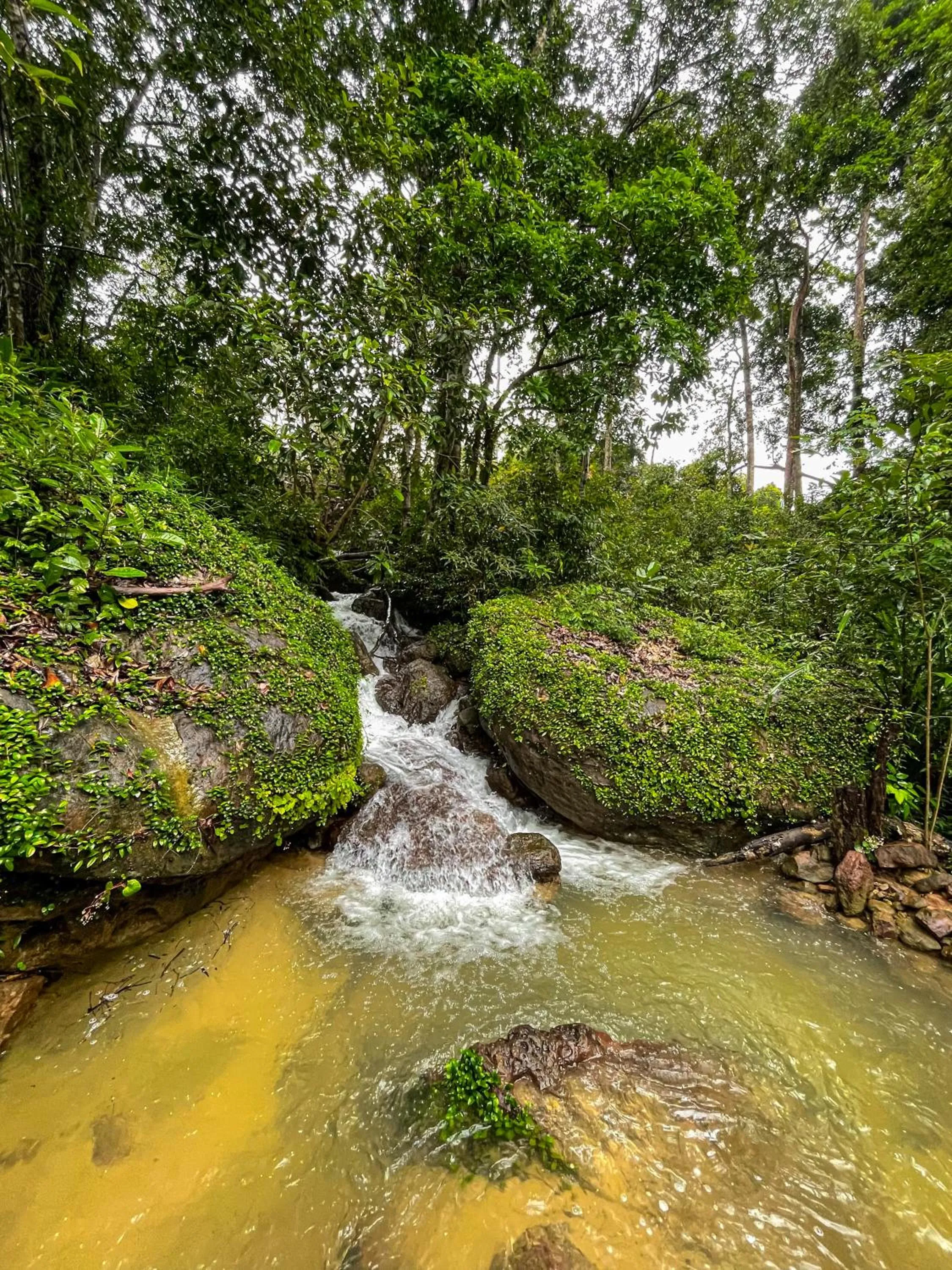Natural landscape in Ocean Lounge Bungalow