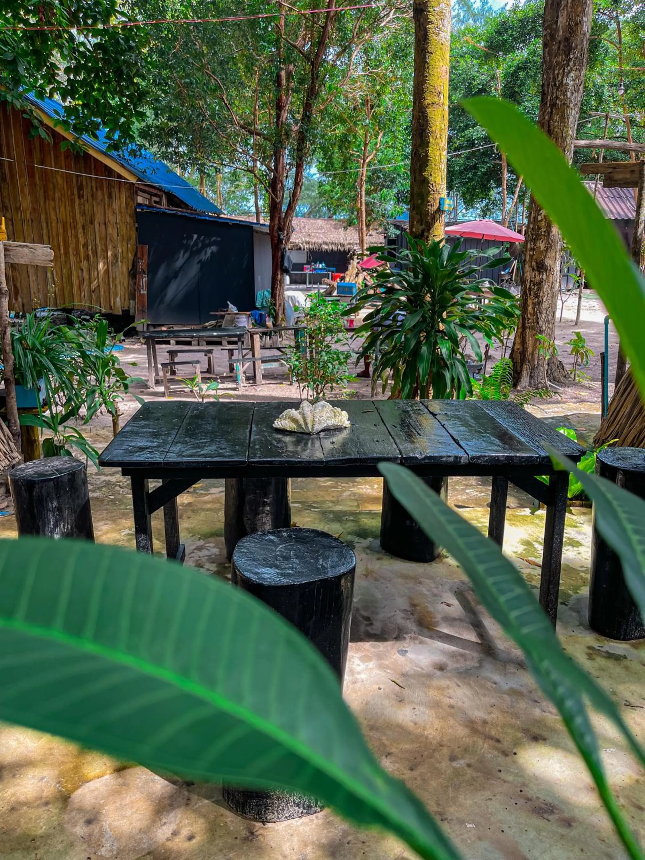 Garden in Ocean Lounge Bungalow