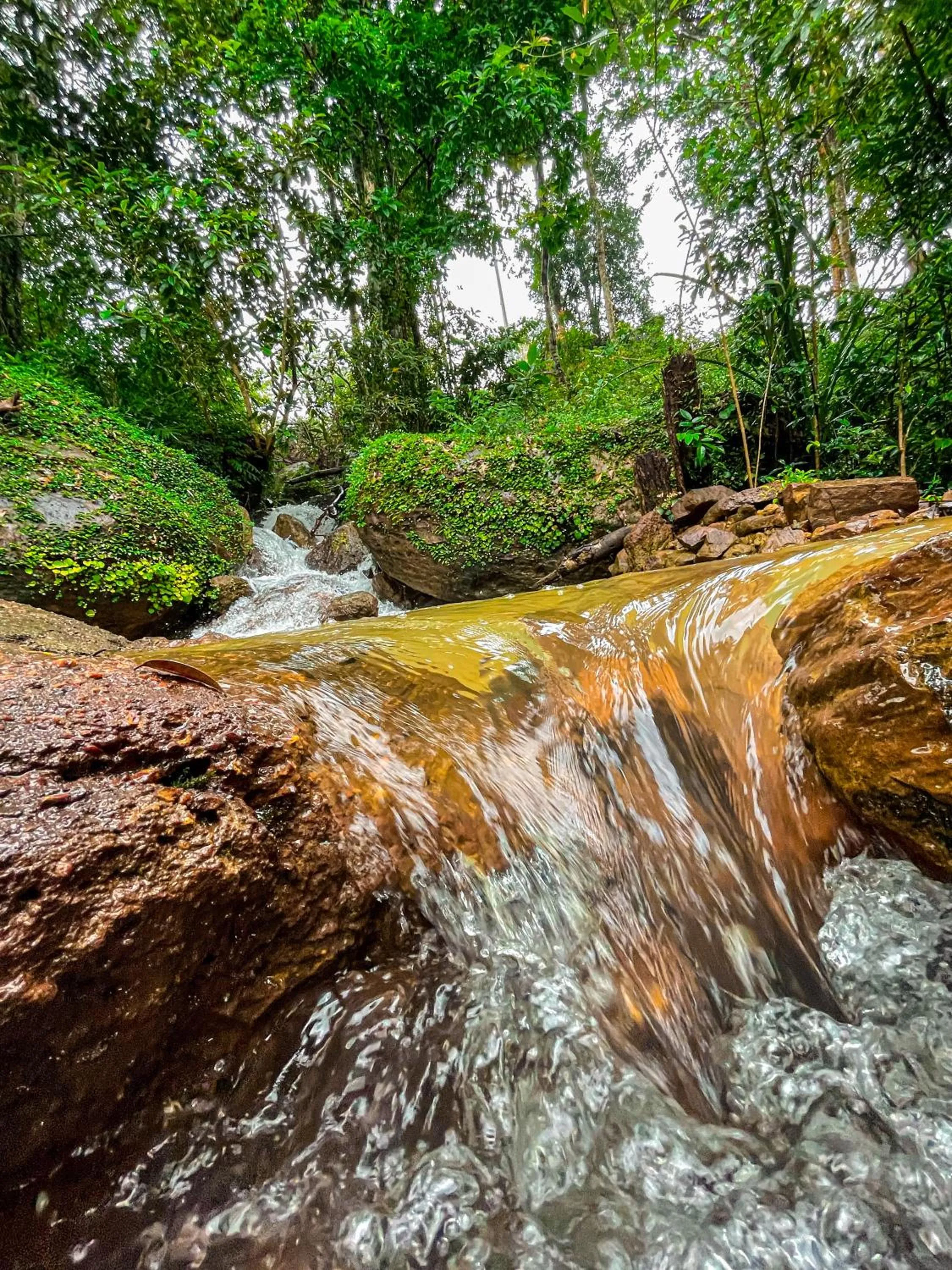 Natural landscape in Ocean Lounge Bungalow