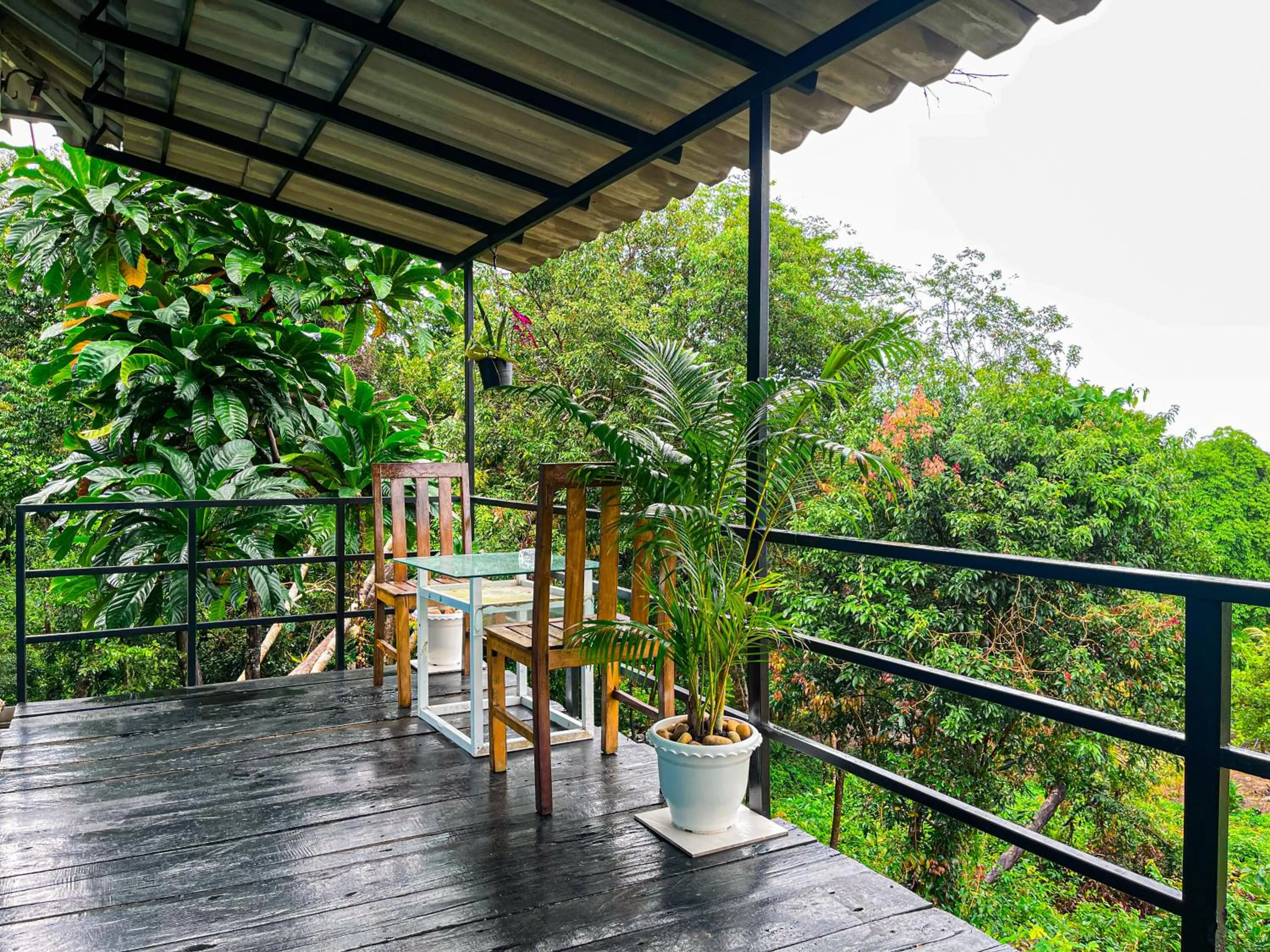 Balcony/Terrace in Ocean Lounge Bungalow