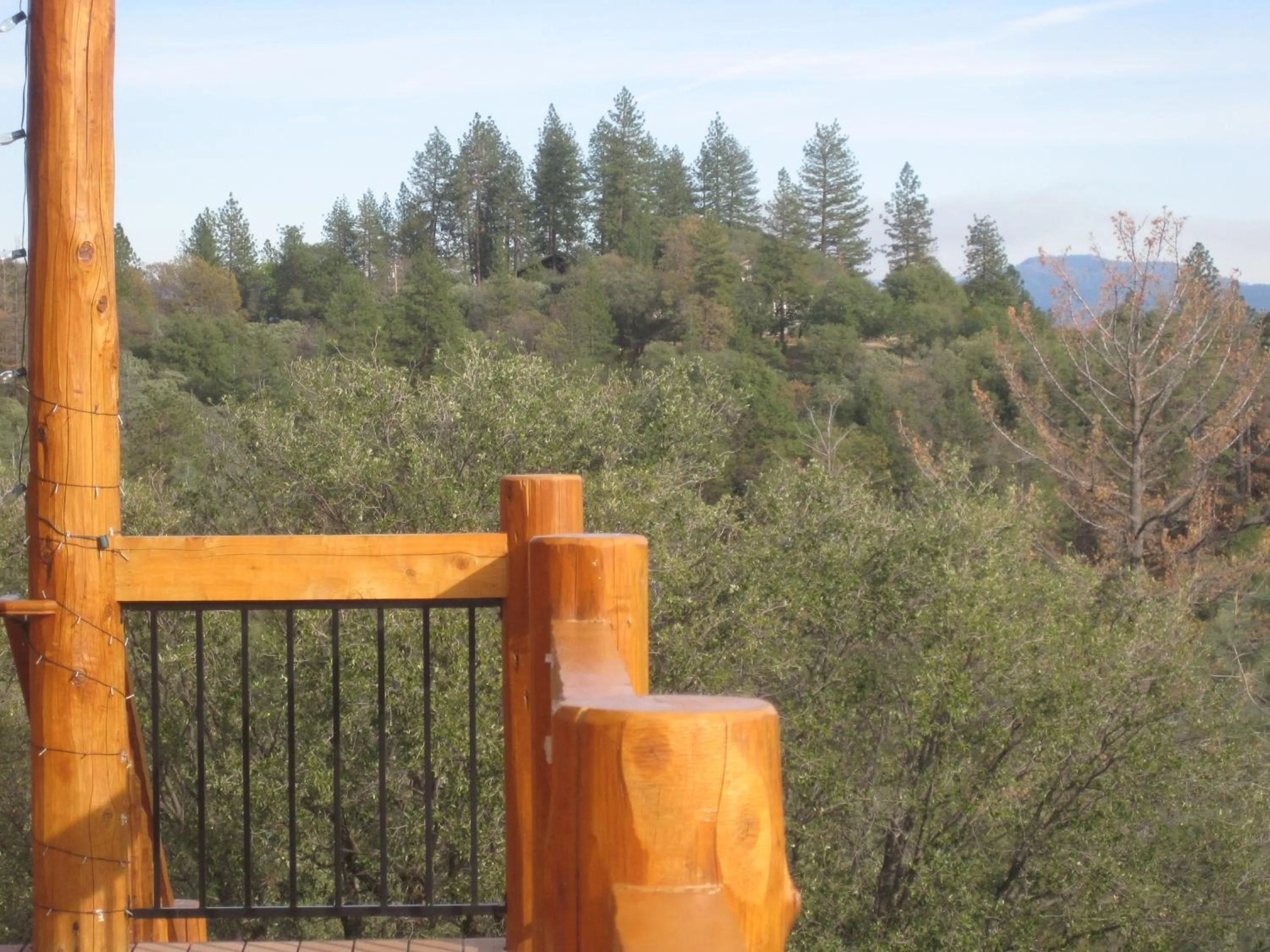 Mountain view in Courtwood Inn