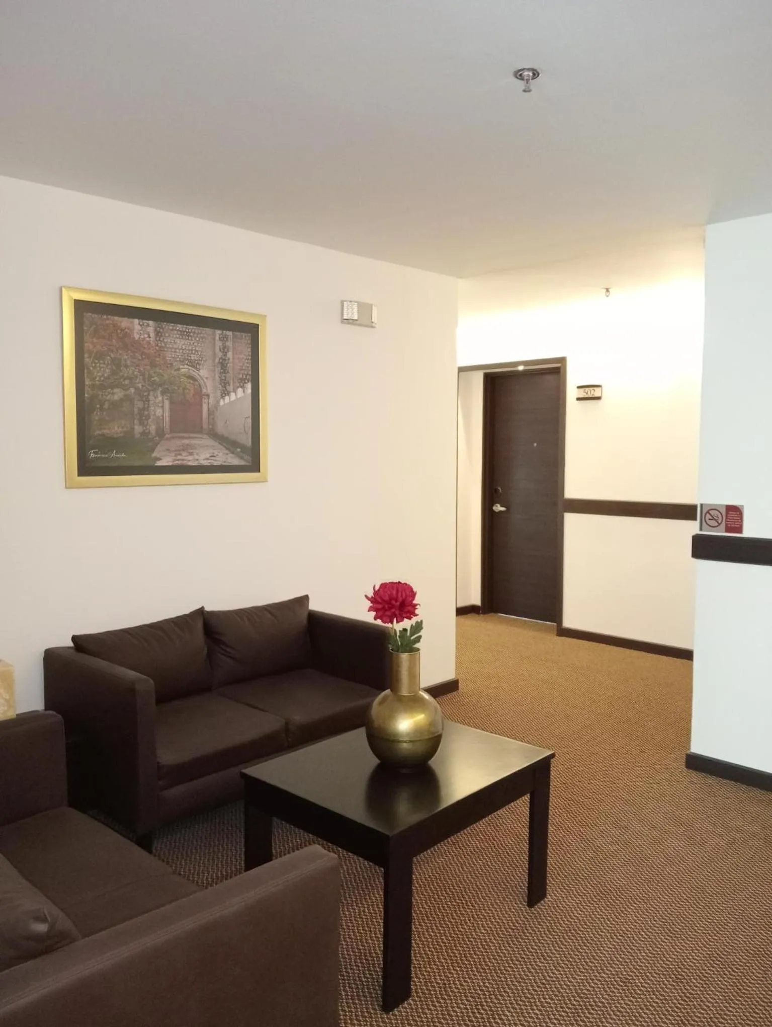 Ankara Pedregal Centro de Convenciones