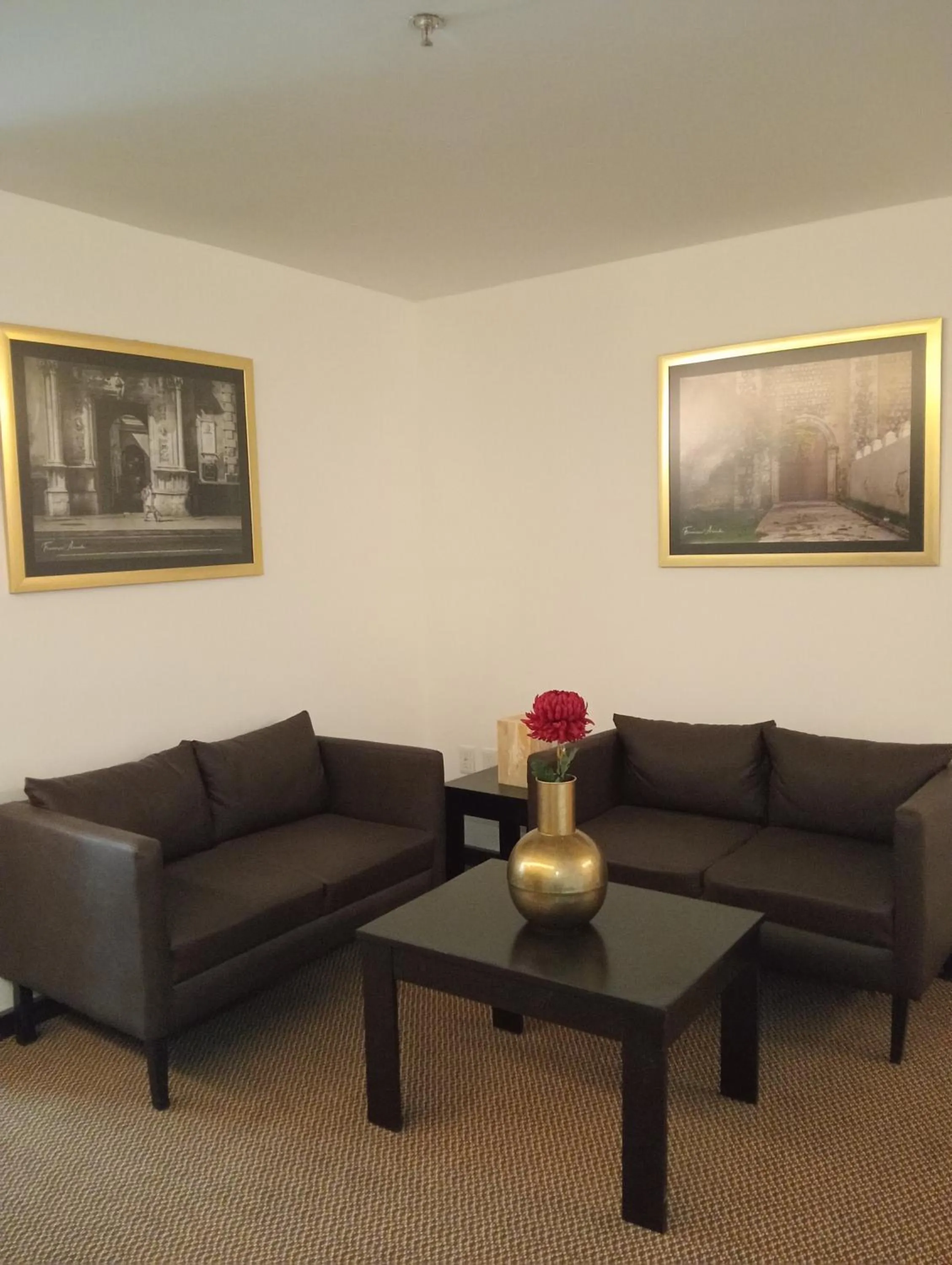 Ankara Pedregal Centro de Convenciones