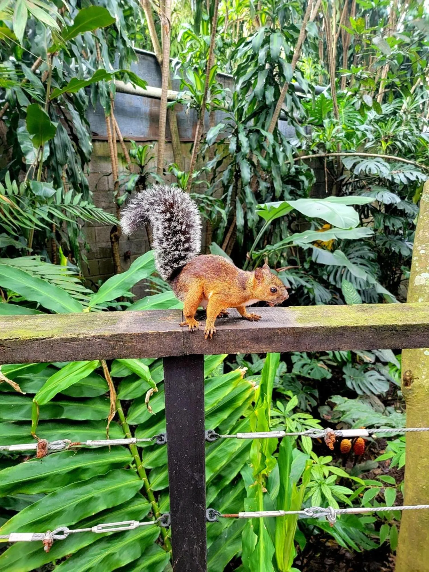 Day in Hotel Aranjuez