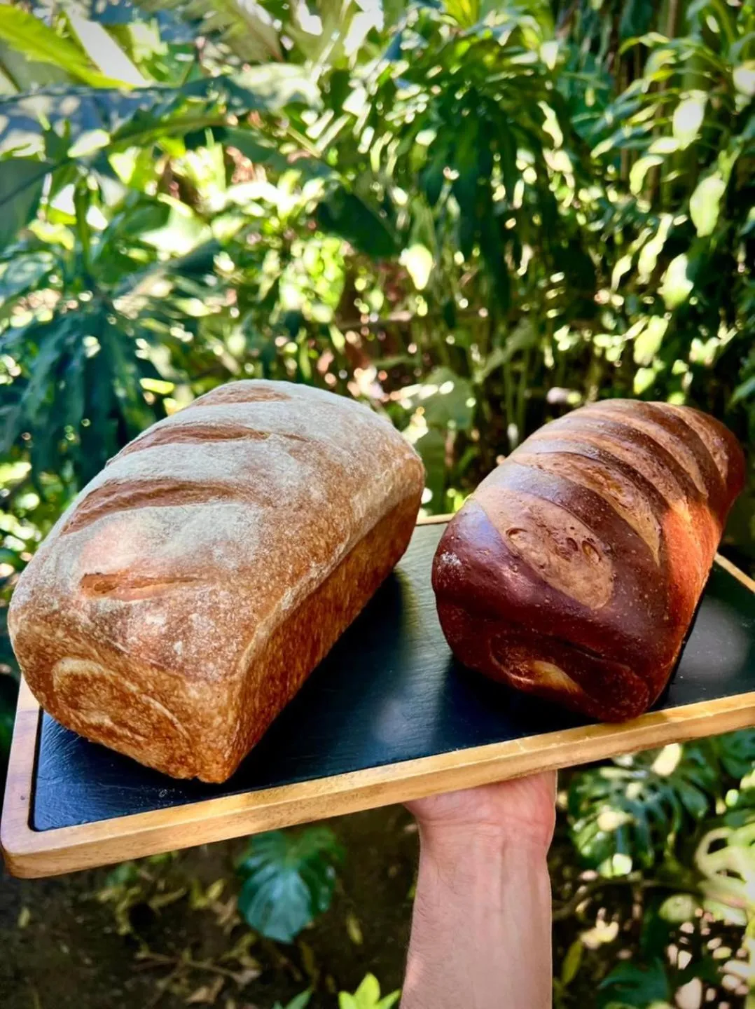 Food in Hotel Aranjuez