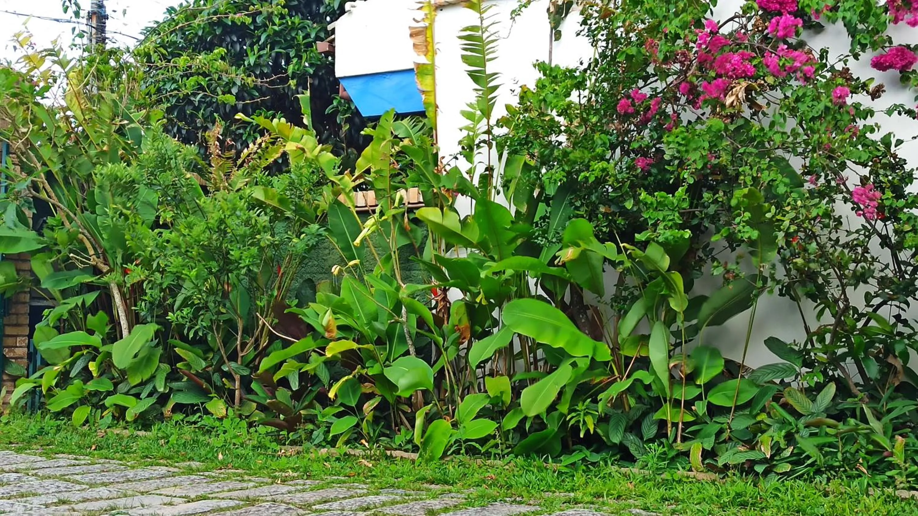 Garden in Pousada Natur Campeche