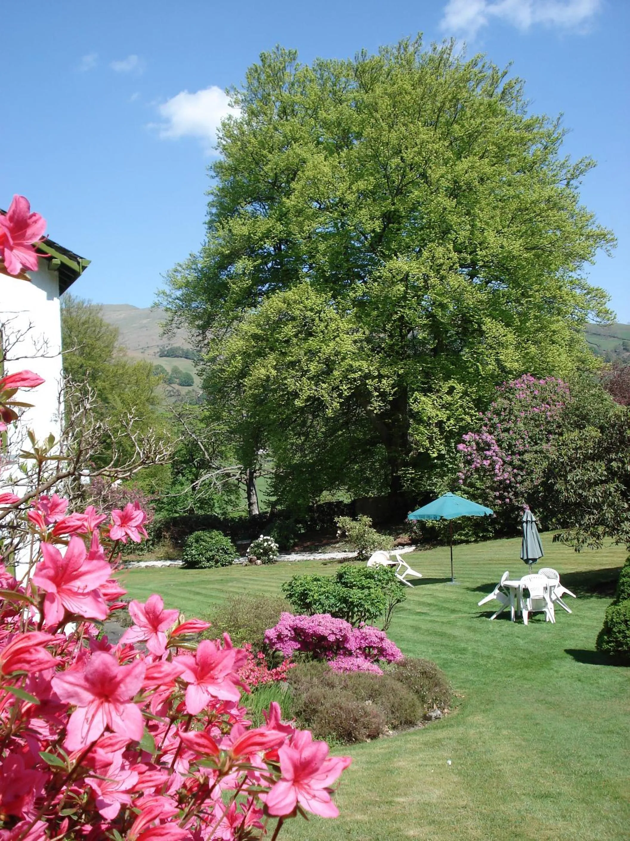 Garden in Foxghyll Country House