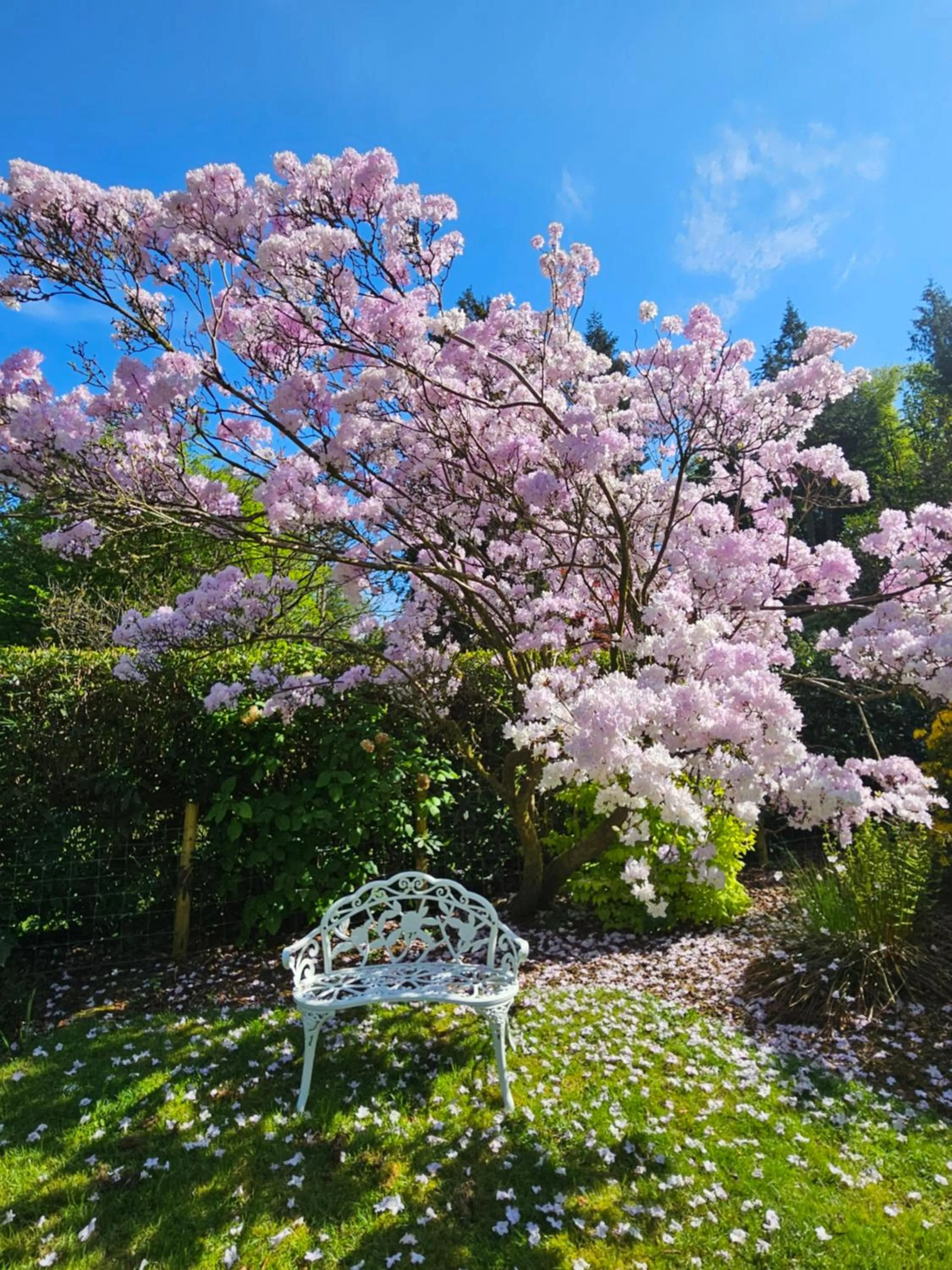 Garden in Foxghyll Country House