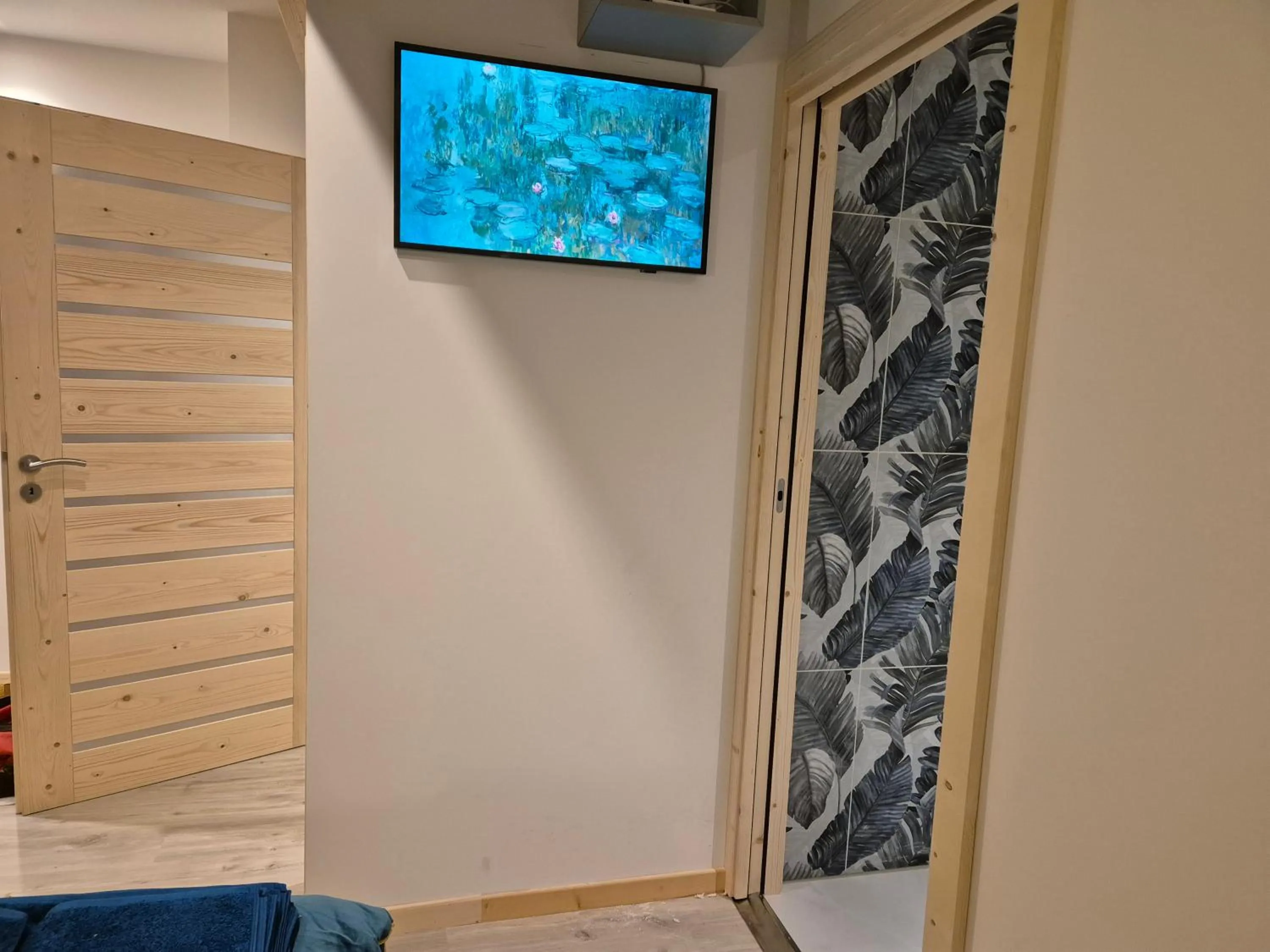 TV and multimedia in L'Or du Lac