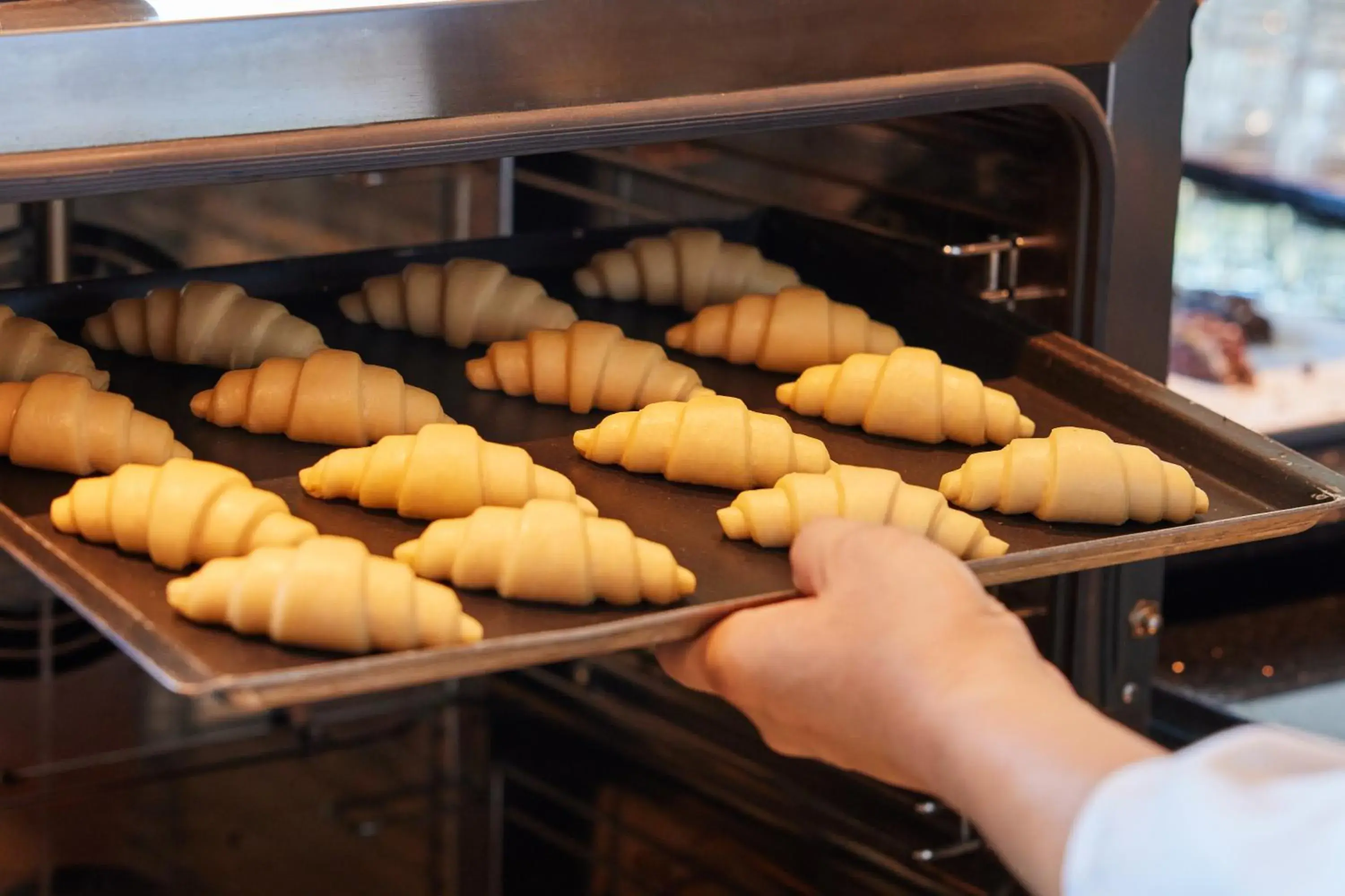 Food and drinks in WE Hotel Jeju Food and drinks in WE Hotel Jeju