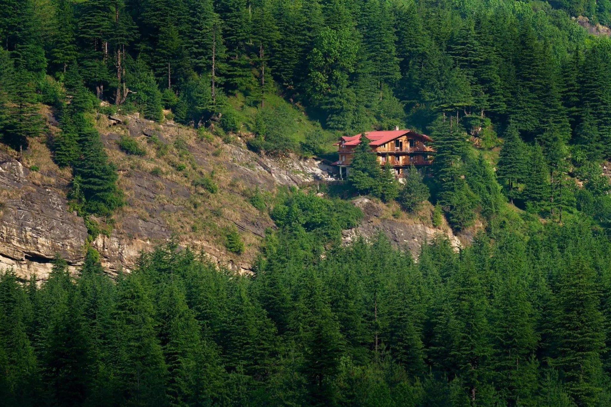 The Pine Chalet Manali