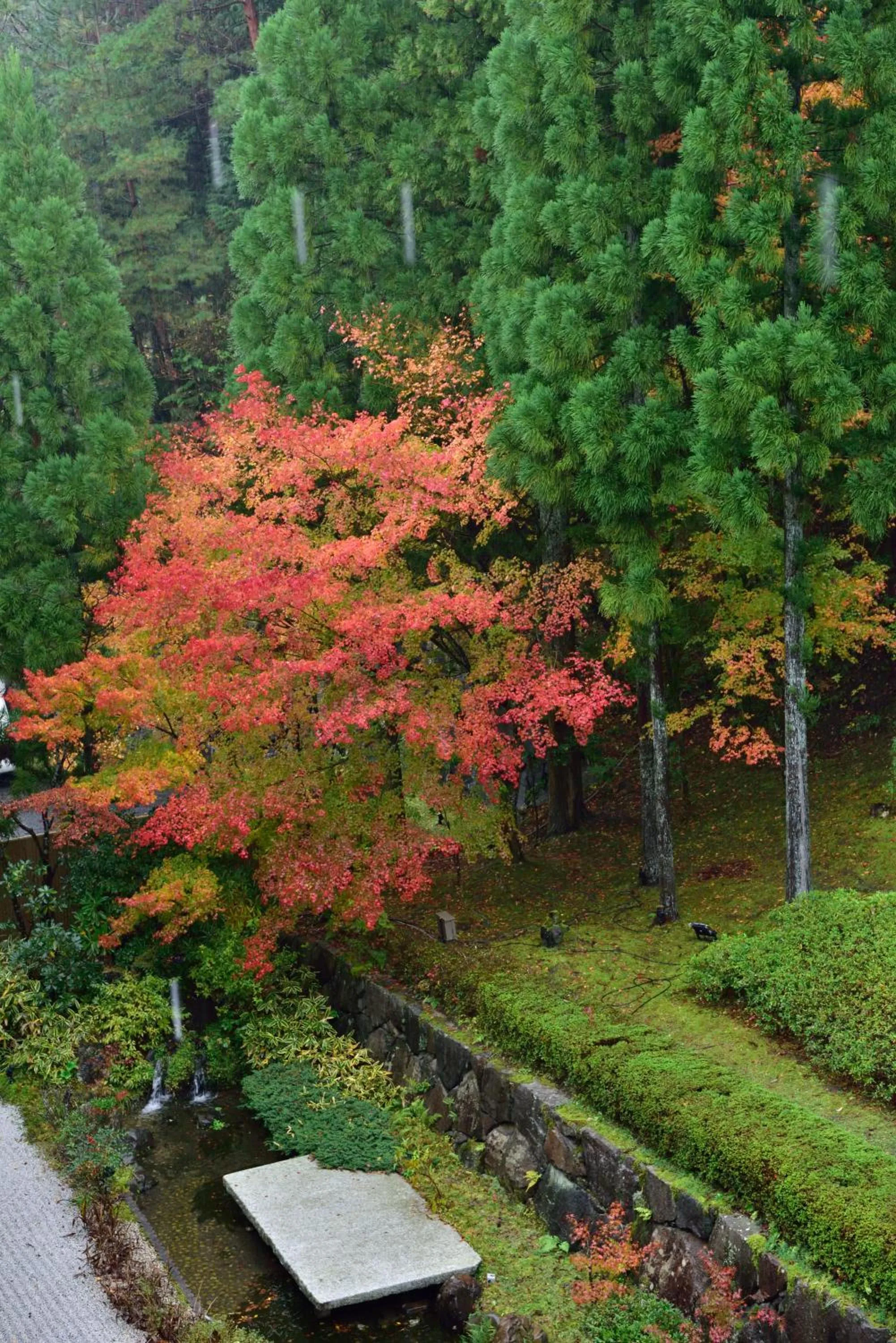 Natural landscape in Kyo Yunohana Resort Suisen
