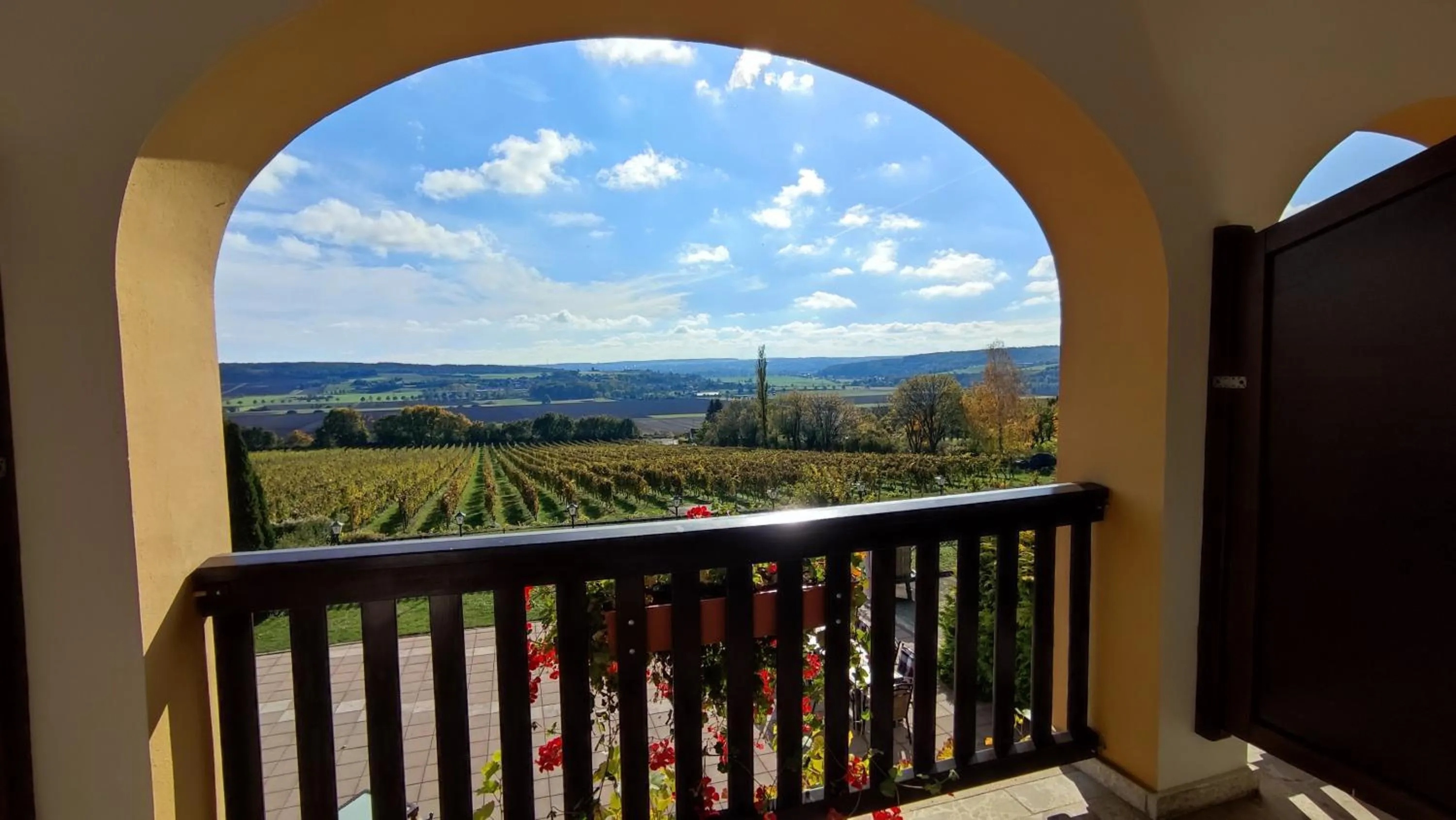 Balcony/Terrace in Hotel Rebschule
