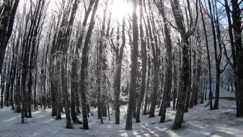 Hiking in Albergo Generale Cantore - Monte Amiata