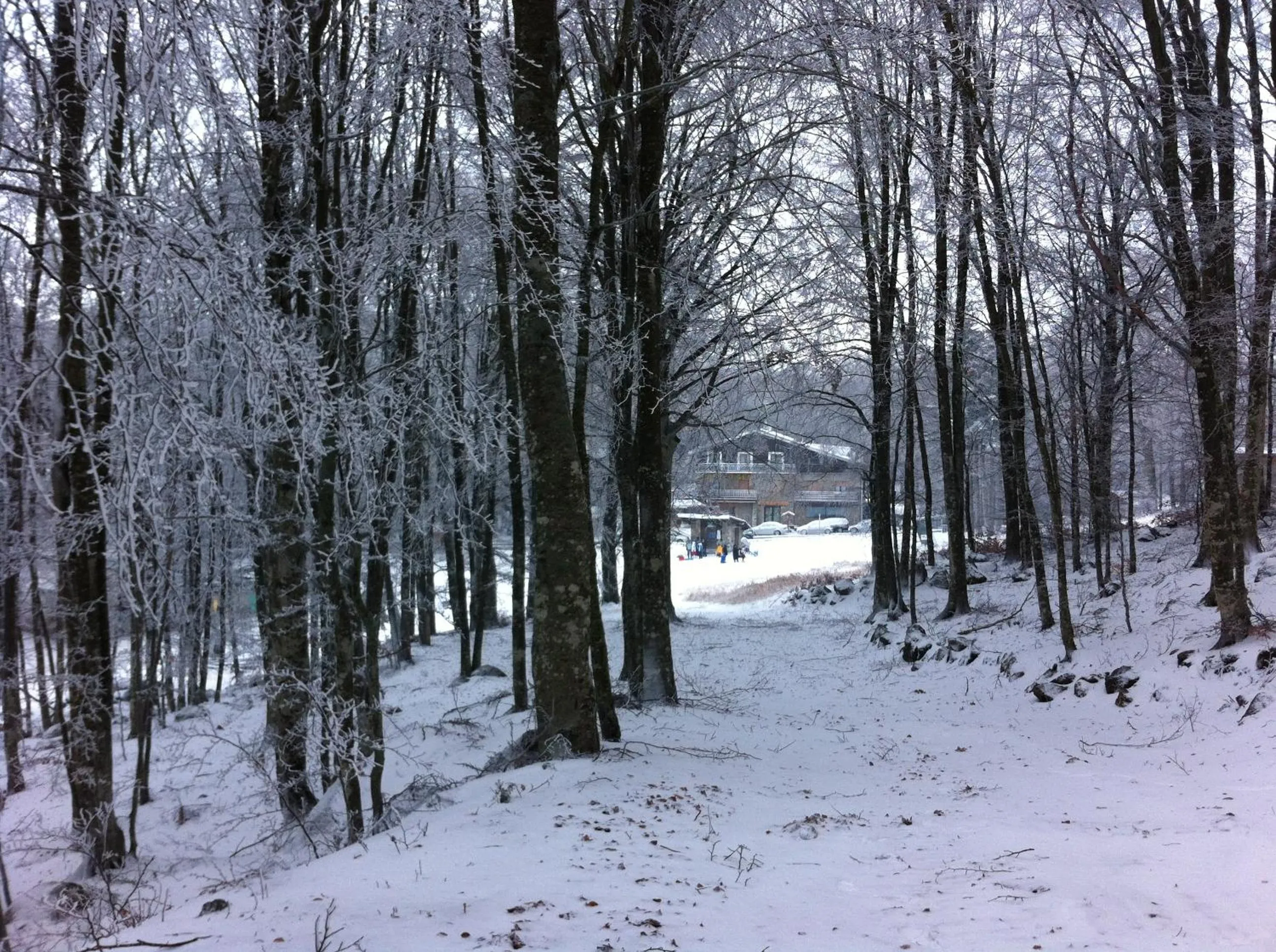Day in Albergo Generale Cantore - Monte Amiata