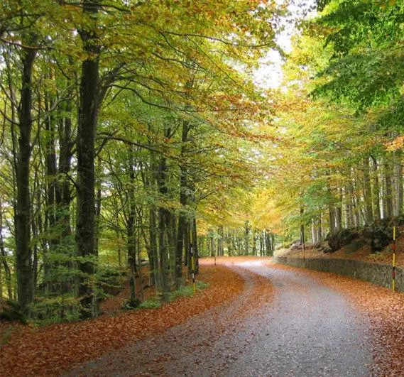 Hiking in Albergo Generale Cantore - Monte Amiata