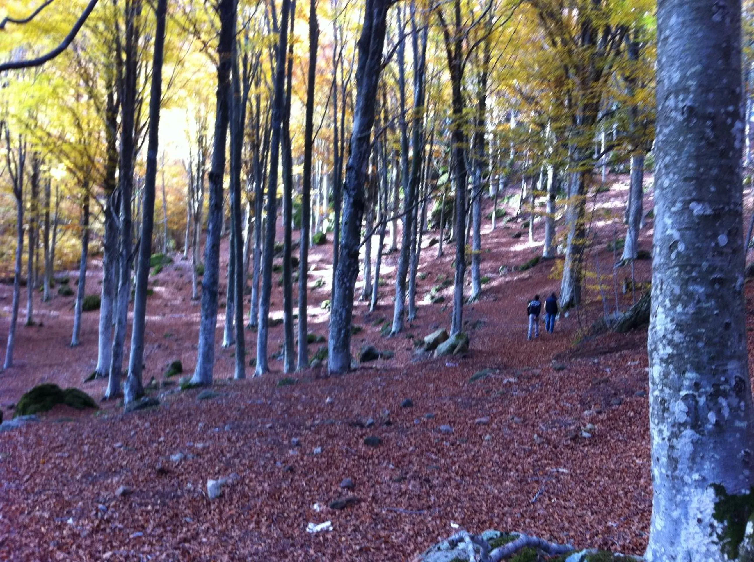 Day in Albergo Generale Cantore - Monte Amiata
