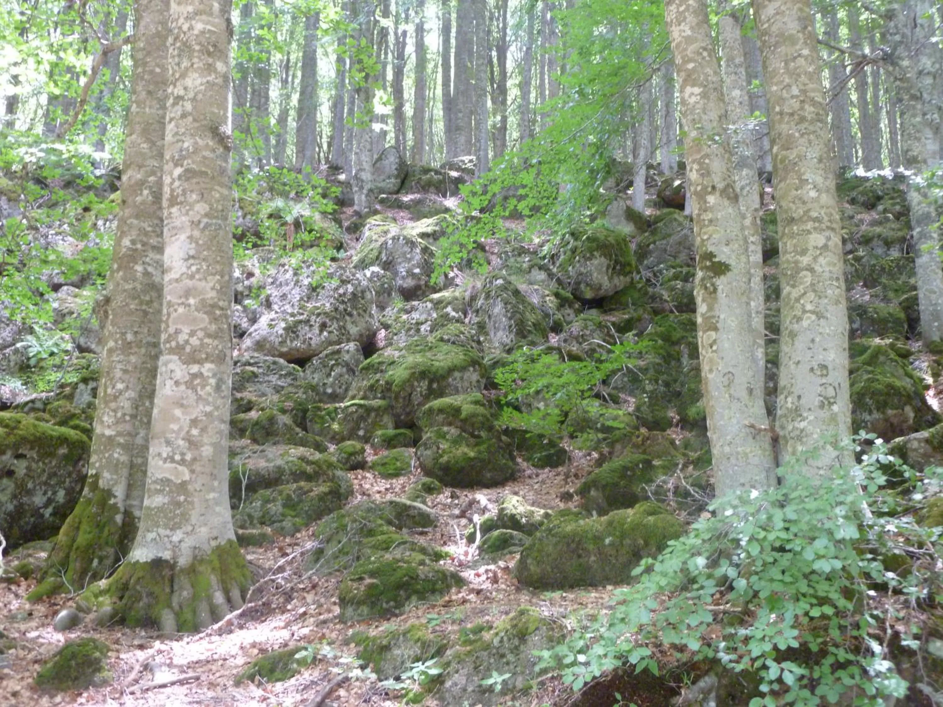 Activities in Albergo Generale Cantore - Monte Amiata