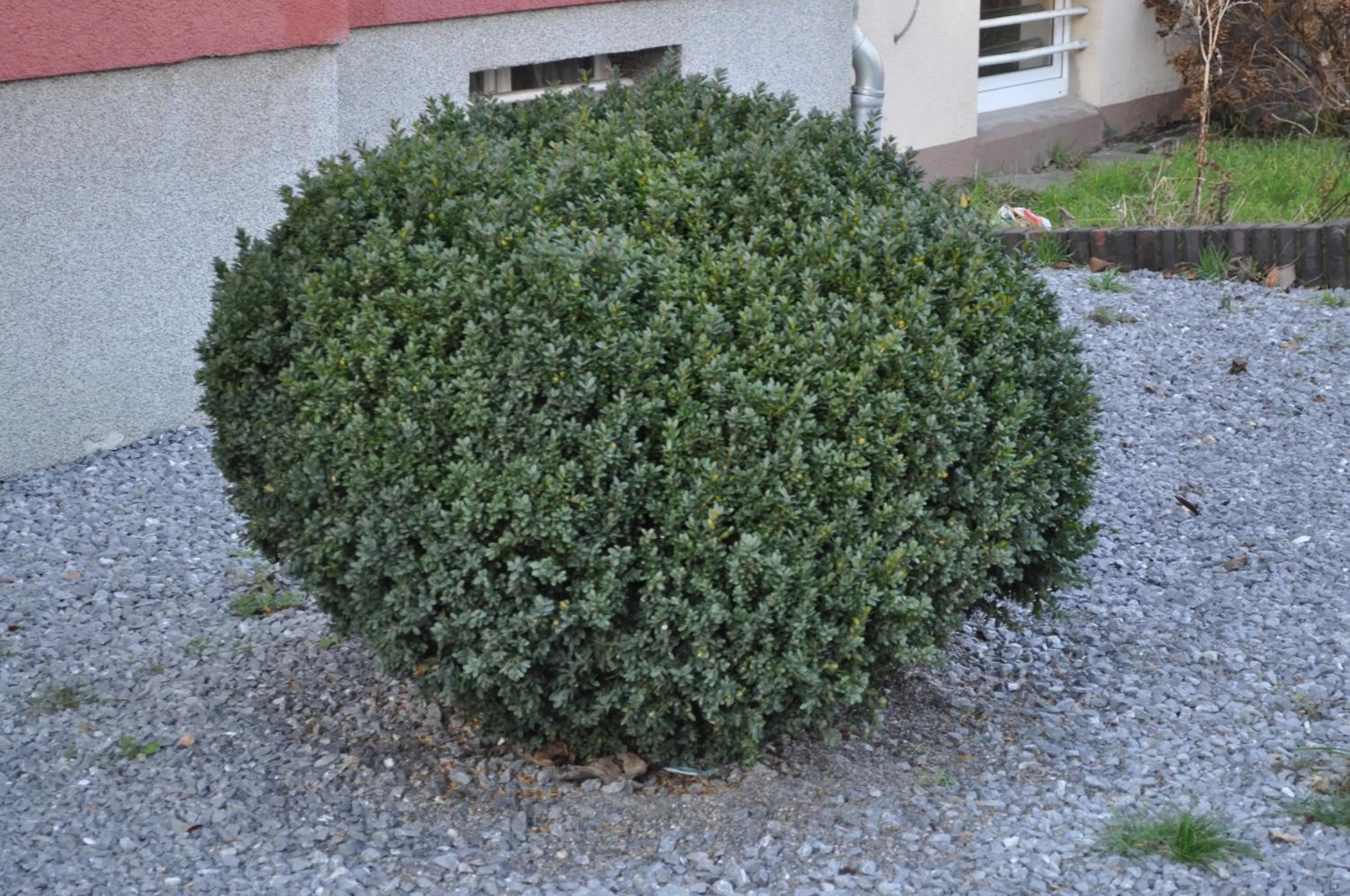 Property building in White House Castrop Rauxel