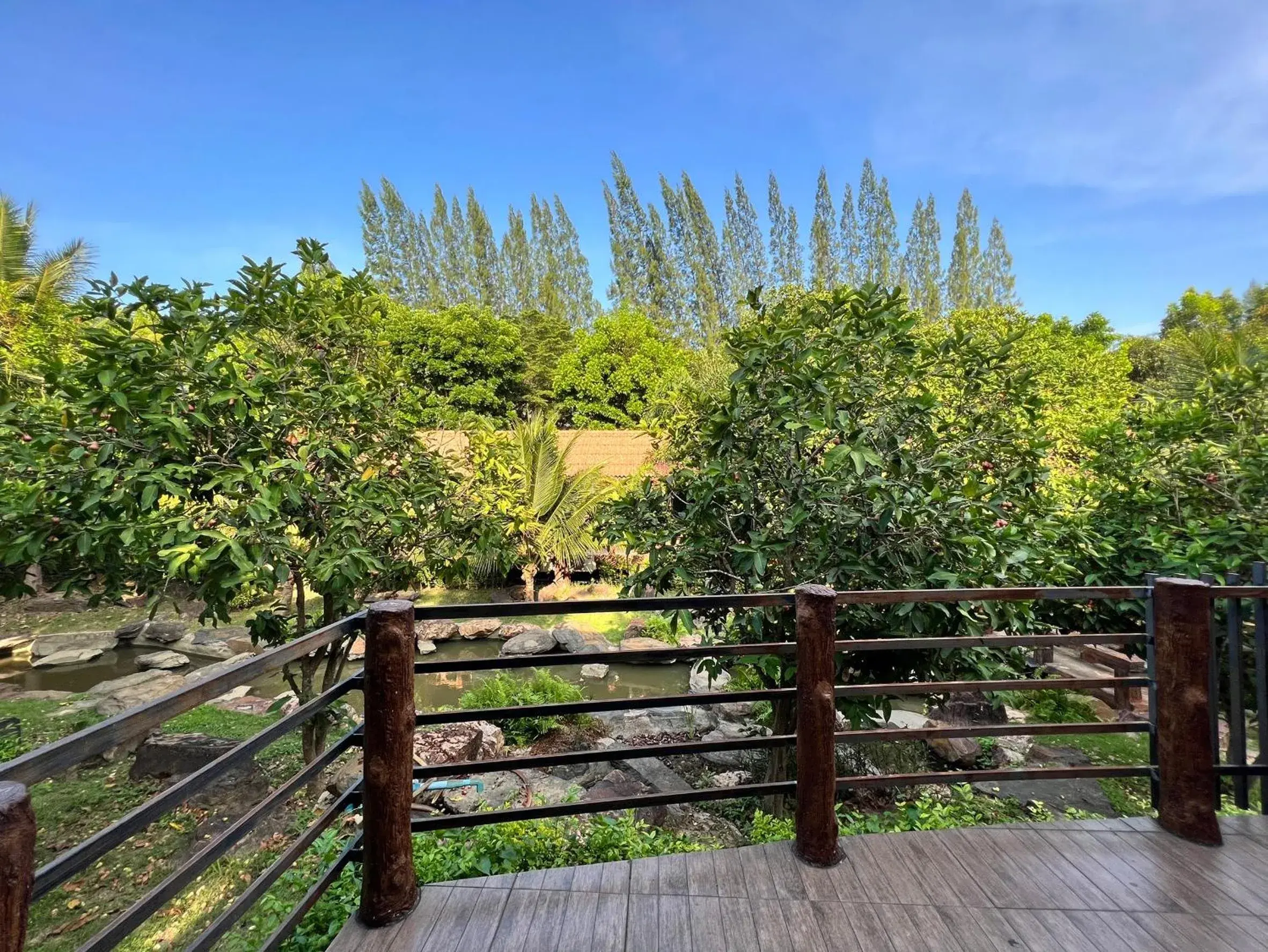 Balcony/Terrace in The Canal Garden Resort